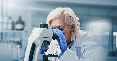 Buy stock photo Lab, medical research and mature woman with microscope, biotech and disease diagnosis for healthcare. Clinic, scientist and person with equipment for cell analysis, innovation and histopathology