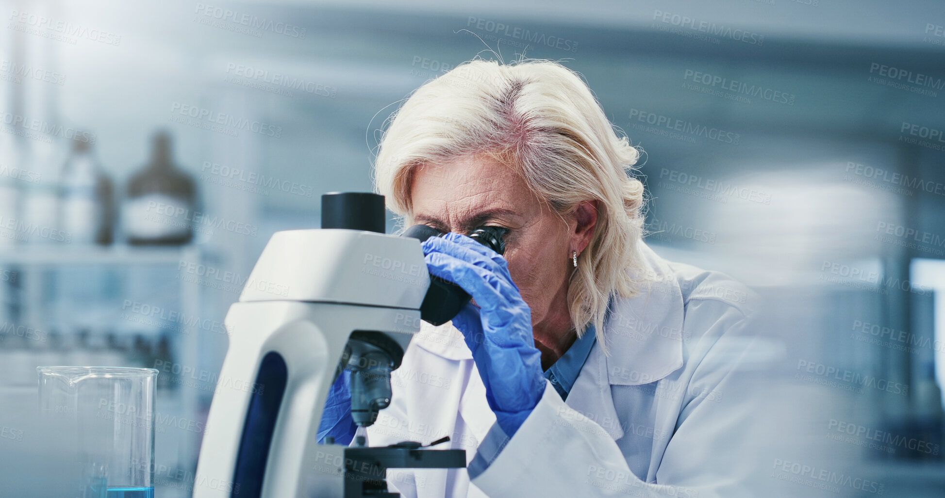 Buy stock photo Lab, medical research and mature woman with microscope, biotech and disease diagnosis for healthcare. Clinic, scientist and person with equipment for cell analysis, innovation and histopathology