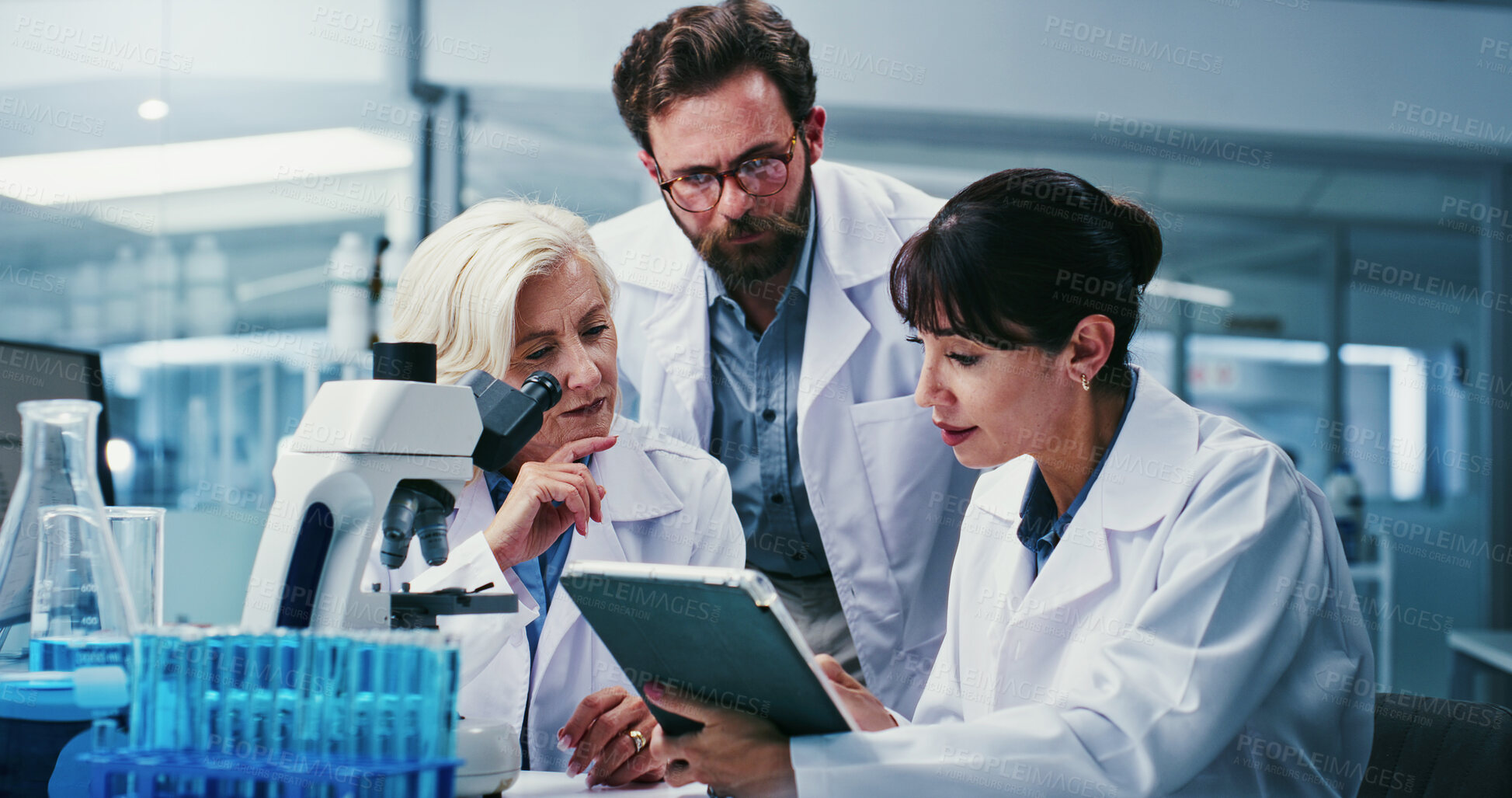 Buy stock photo Microscope, science and tablet with team in laboratory together for development or research. App, feedback and talking with scientist people at work on clinical trial, medical industry or study