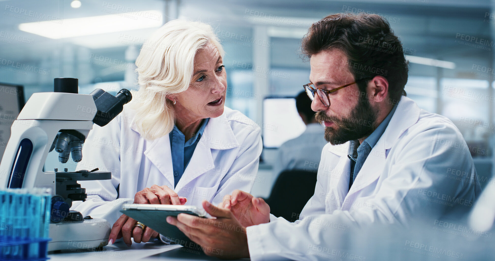 Buy stock photo Microscope, science and tablet with research team in laboratory together for medical development. App, feedback and talking with scientist people at work on clinical trial, pharmaceuticals or study