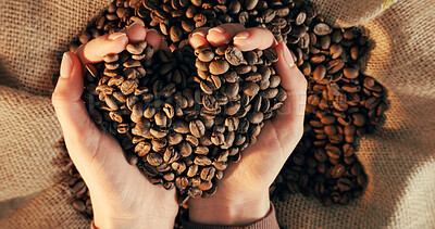 Buy stock photo Hands, person and roasted beans for coffee production, textures and sustainable harvest. Granules, arabica grain and manufacturing process with storage cloth, quality control and espresso ingredients