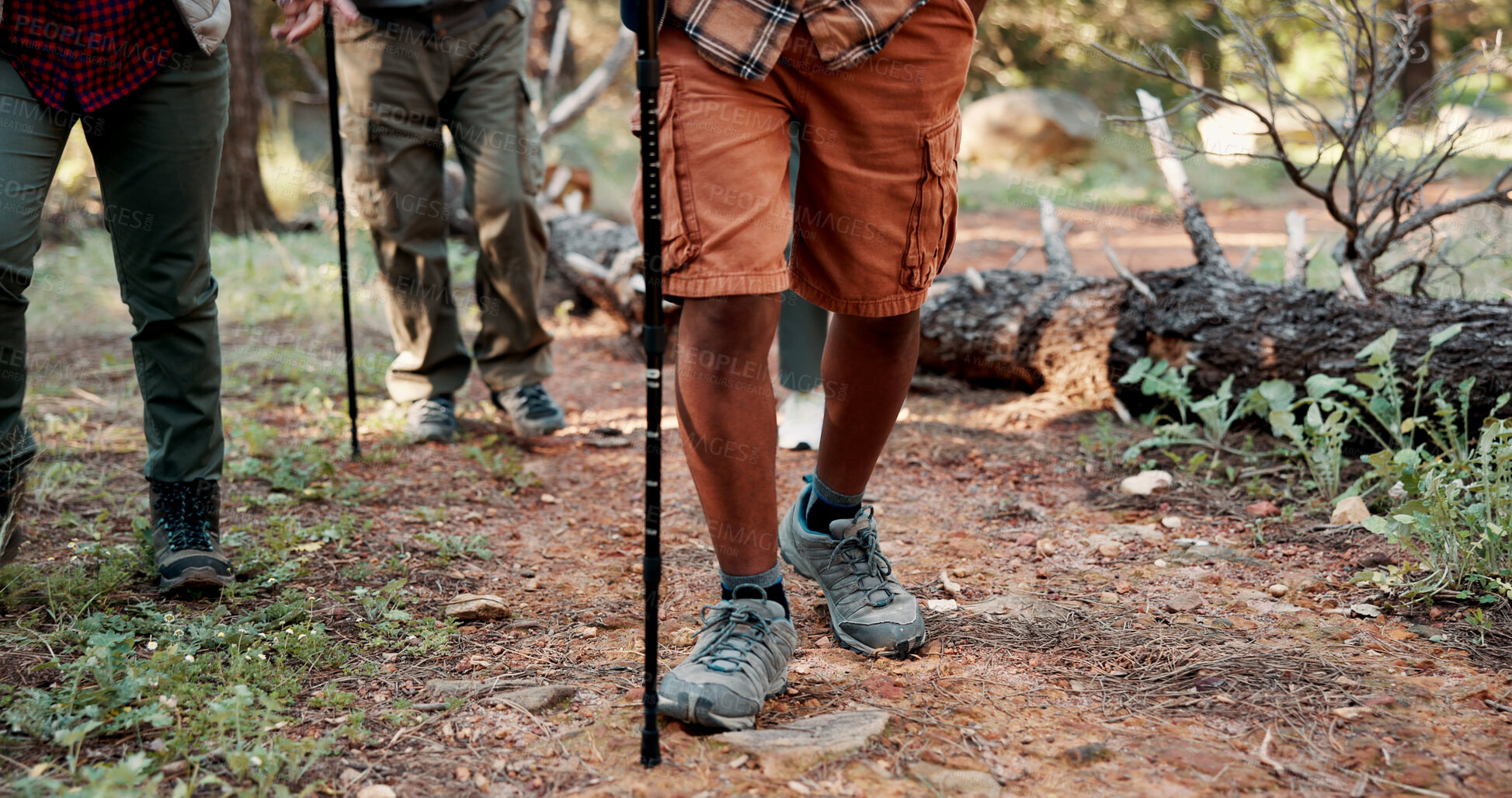 Buy stock photo Legs, people and trekking pole on trail for travel adventure, field research or nature observation. Ecology team, balance or group feet on hiking expedition for eco tourism, explore forest or journey