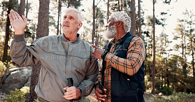 Buy stock photo Pointing, friends and senior men in forest for hiking, navigation discussion and bird watching expedition. Eco tourism, adventure or old people with trekking to explore nature, show direction or talk