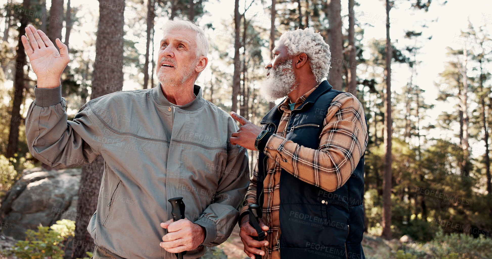 Buy stock photo Pointing, friends and senior men in forest for hiking, navigation discussion and bird watching expedition. Eco tourism, adventure or old people with trekking to explore nature, show direction or talk