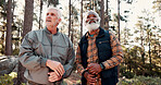 Hiking, friends and men with view of forest for travel adventure, explore countryside or journey. Mature people, trekking sticks and walking break in woods for fresh air, sightseeing nature and hobby