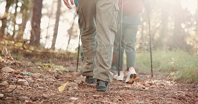 Buy stock photo Feet, people and trekking pole on trail for travel adventure, field research or nature observation. Back, balance and group legs on hiking expedition for conservation study, explore forest or journey