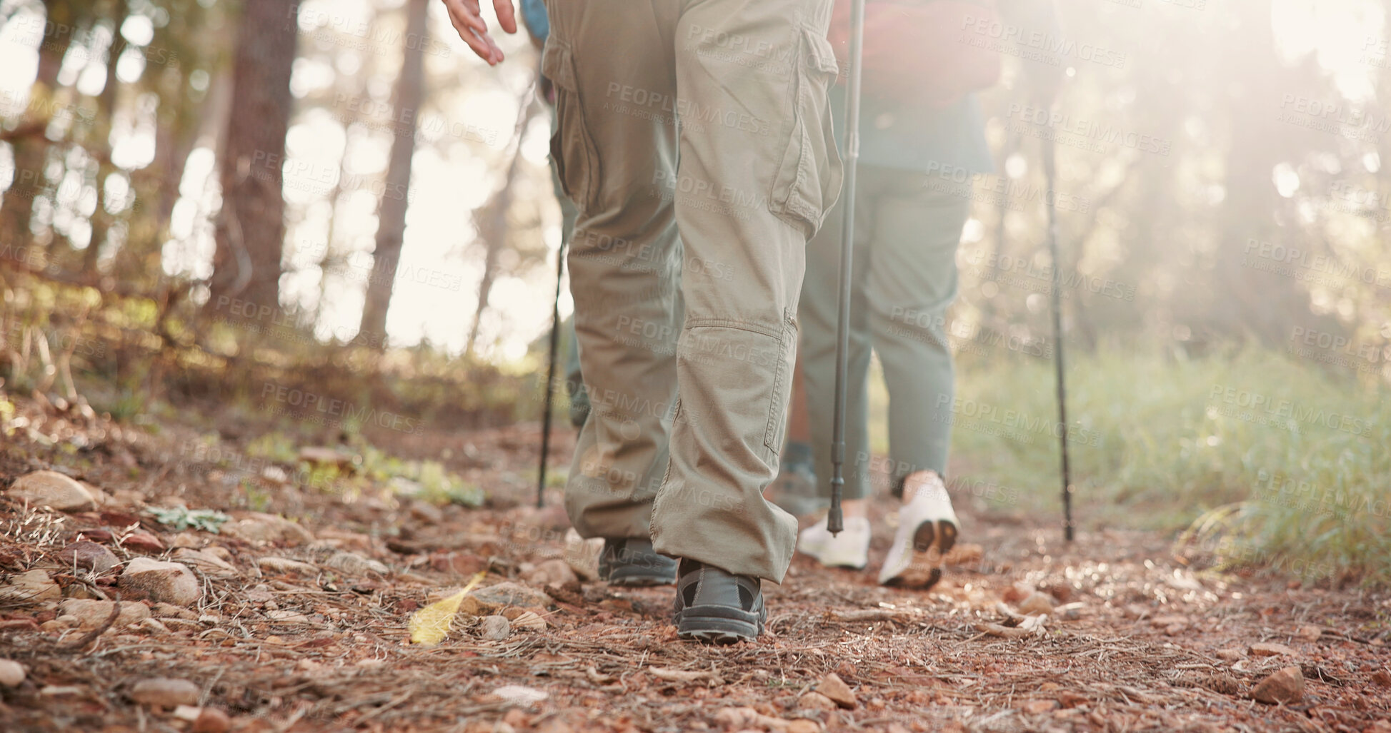 Buy stock photo Feet, people and trekking pole on trail for travel adventure, field research or nature observation. Back, balance and group legs on hiking expedition for conservation study, explore forest or journey