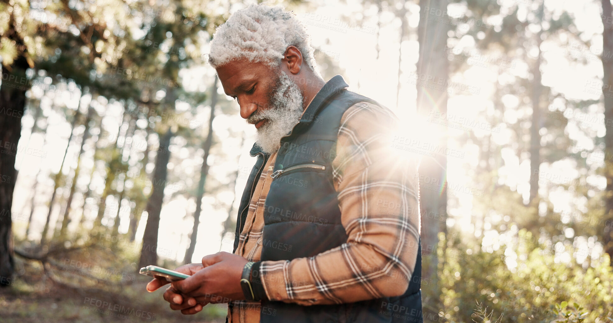 Buy stock photo Hiking, phone and senior black man in forest for wellness, fresh air and online map for direction. Travel, morning and elderly person on nature trail for search, health and exercise on smartphone