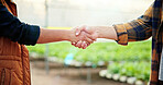 Agriculture, people or handshake in greenhouse for deal, industry partnership or production agreement. Collaboration, farmers or shake hands for crop development support, b2b alliance or cooperation