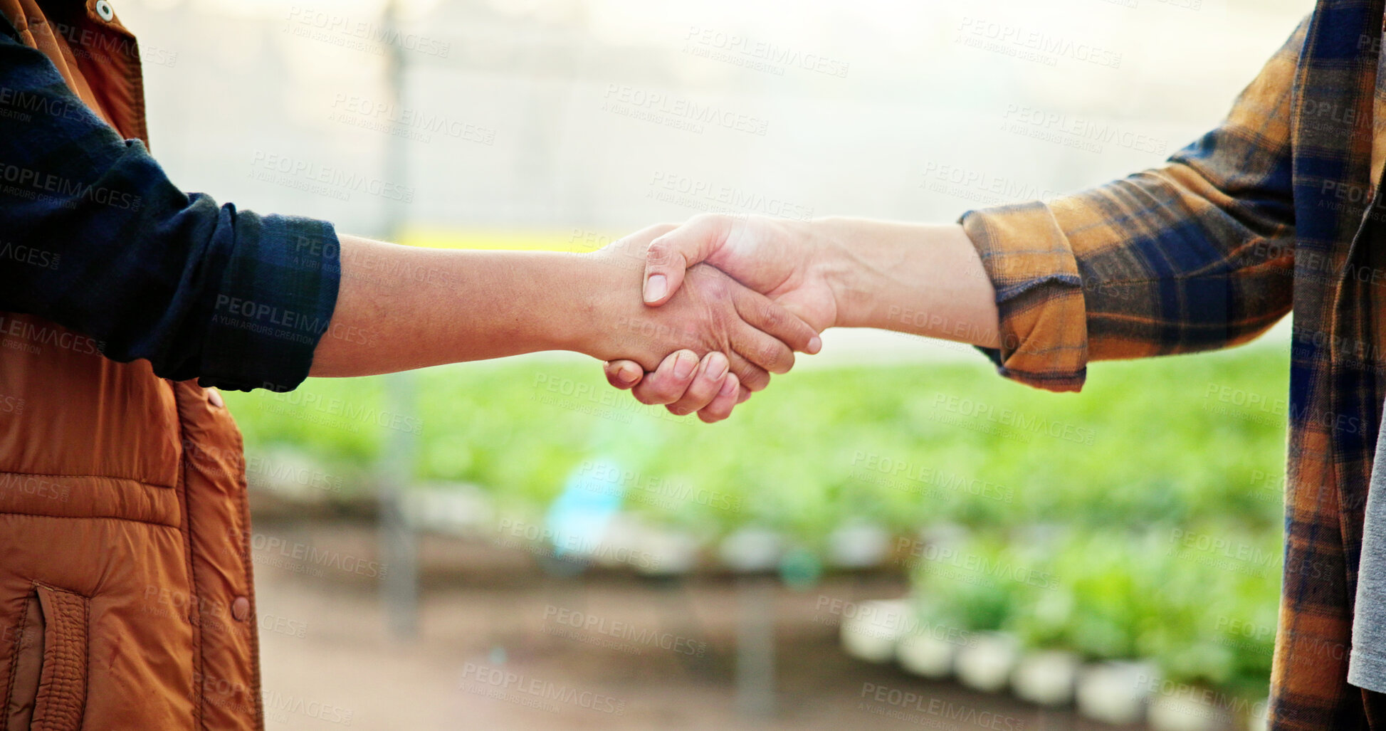 Buy stock photo Agriculture, people or handshake in greenhouse for deal, industry partnership or production agreement. Collaboration, farmers or shake hands for crop development support, b2b alliance or cooperation