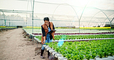 Buy stock photo Smile, inspection and farmer with checklist for growth, sustainability and harvest. Agriculture, clipboard and woman on farm with agro business for crops, quality control or hydroponics produce