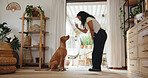 Woman, point and dog training in home with lesson, animal care and companion for bonding together. Person, gesture and teaching trick in house with pet, mental stimulation and learning good behavior.