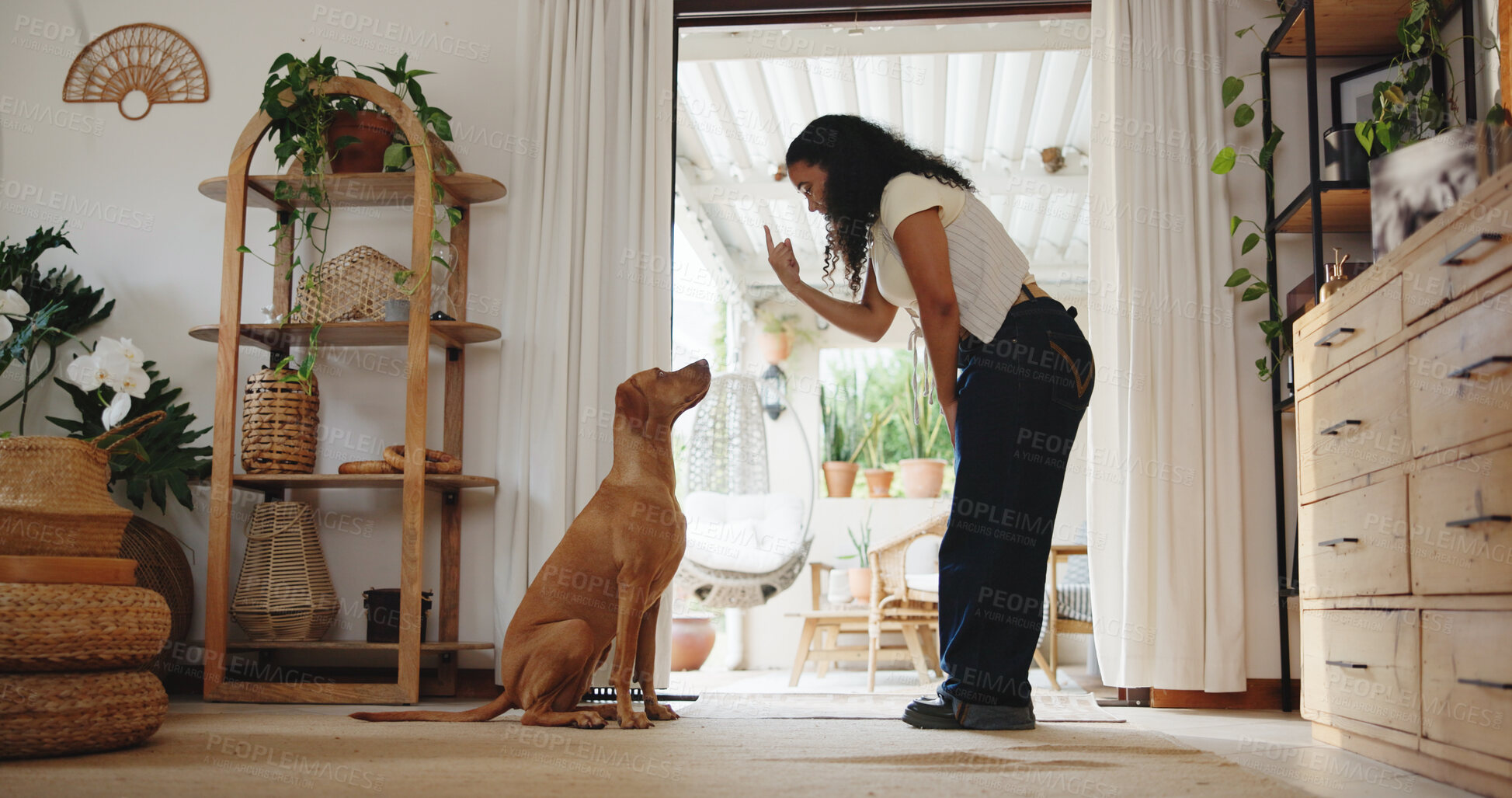 Buy stock photo Woman, point and dog training in home with lesson, animal care and companion for bonding together. Person, gesture and teaching trick in house with pet, mental stimulation and learning good behavior.