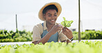 Farmer, woman and crop inspection outdoor for leaf growth, food production and quality assurance. Agribusiness, happy black person or monitor lettuce on farm for development, pest control and health