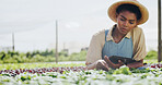 Farmer, woman or crop inspection with tablet for plant growth, food production or reporting. Sustainable business, black person or digital app on farm for vegetable progress, record results and space