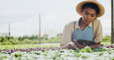 Buy stock photo Farmer, woman or crop inspection with tablet for plant growth, food production or reporting. Sustainable business, black person or digital app on farm for vegetable progress, record results and space