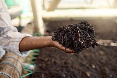Buy stock photo Farmer, hands or soil with worms for nutrition, quality control or biodiversity on farm. Person, agriculture or earthworms in fertilizer for ecosystem growth, processing compost or nitrogen rich dirt