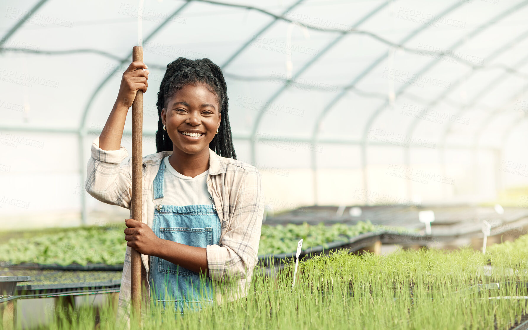 Buy stock photo Portrait, farmer and African woman in greenhouse for career pride, about us and agriculture. Happy, female person and ambition for farming, sustainable business and crops for food production