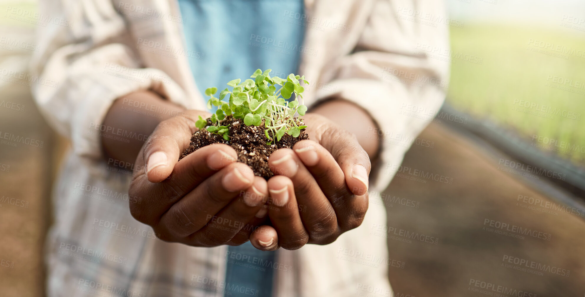 Buy stock photo Hands, plant and person with soil, growth and agriculture for nature, sustainability or earth day. Gardening, fertilizer and farmer with seedling for eco friendly, environment or farming business