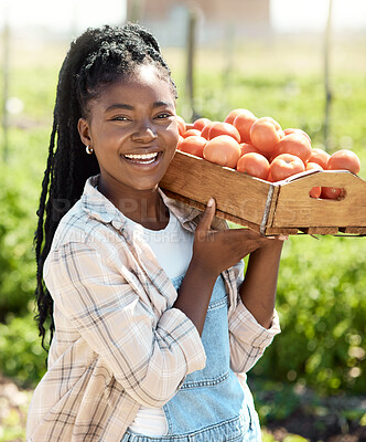 Buy stock photo Nature, sustainable and portrait of black woman with tomatoes for agro business, agriculture or growth. Eco friendly, farm and African female person with tray of vegetables for outdoor harvest.