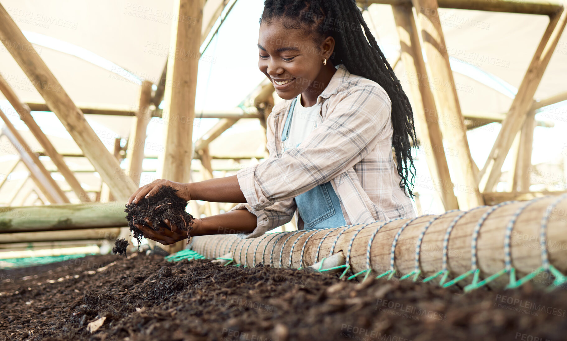 Buy stock photo Happy, farming and black woman with soil in greenhouse for fertilizer, nature and quality for planting. Female person, farmer and agriculture industry for sustainable business, compost or dirt