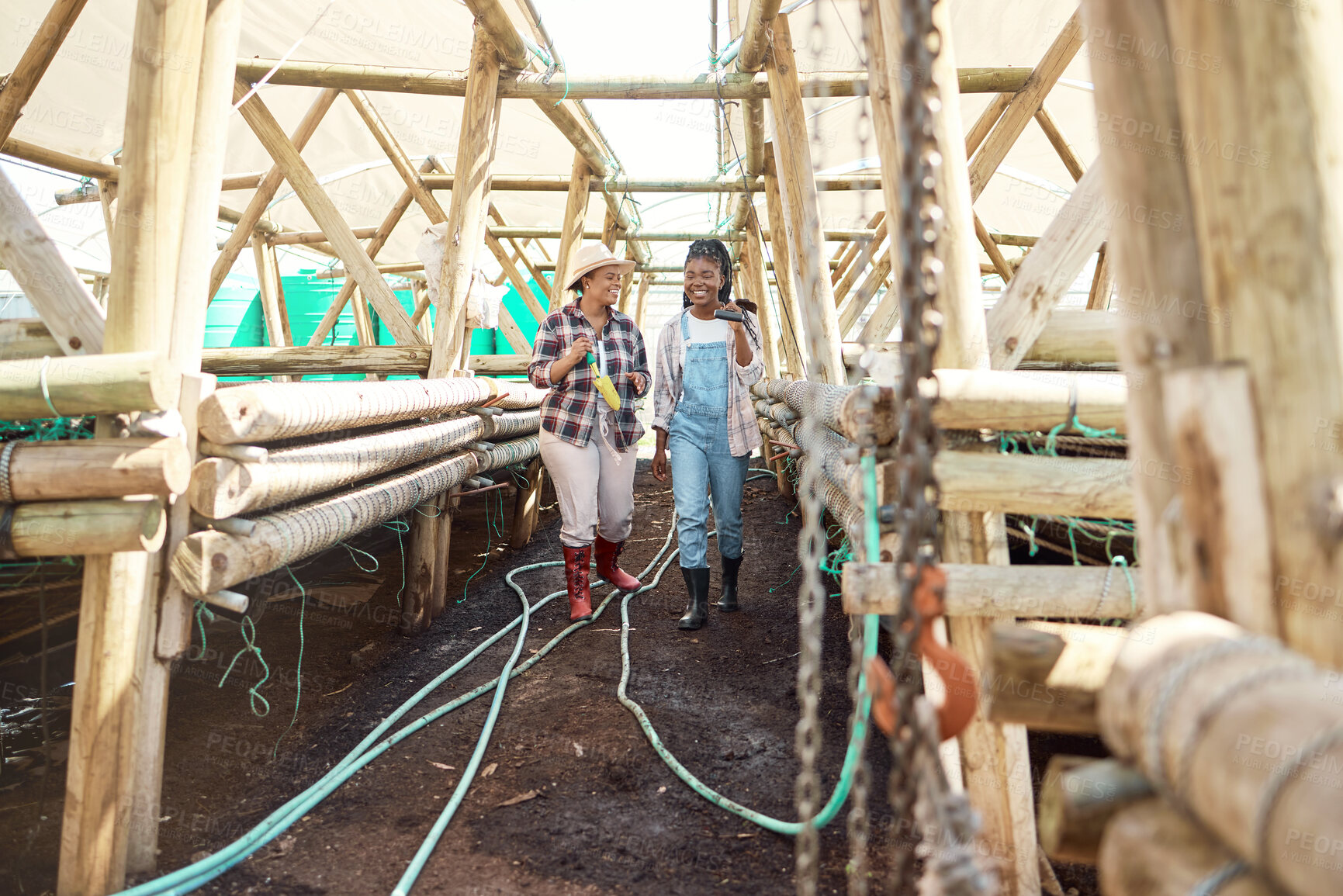 Buy stock photo Tools, farming and women team walking outdoor for collaboration, maintenance and greenhouse. Happy, people or farmer for agriculture industry, sustainable business and talk of food production