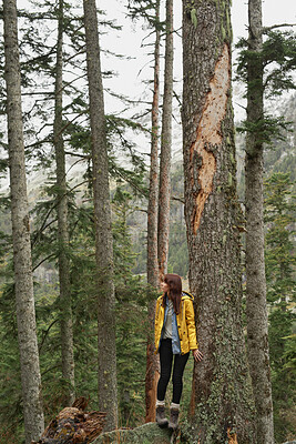 Buy stock photo Travel, hiking and woman in forest, thinking or sightseeing on holiday, adventure and eco tourism. Woods, trekking and person in nature for vacation, reflection or exploration outdoor with wanderlust