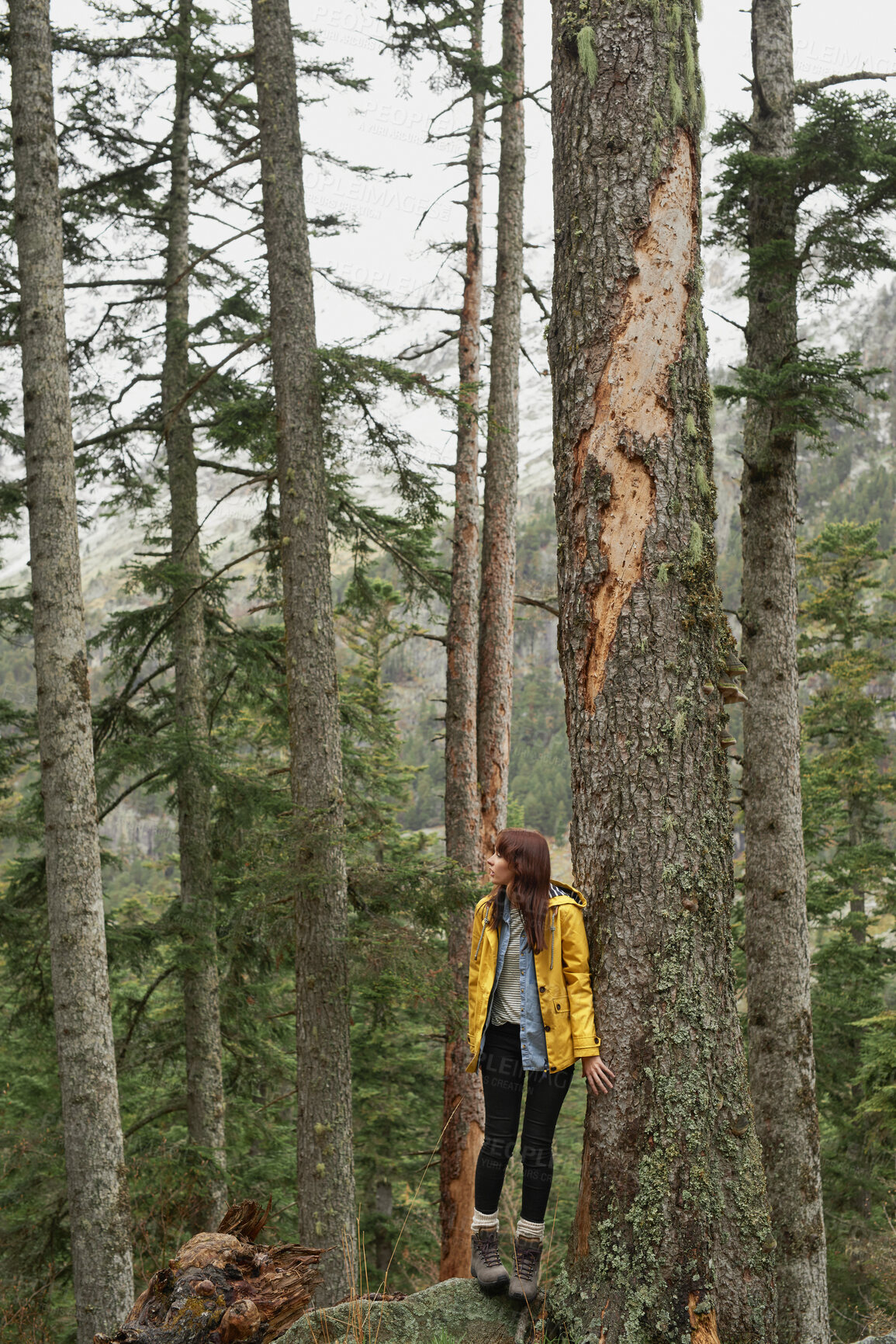 Buy stock photo Travel, hiking and woman in forest, thinking or sightseeing on holiday, adventure and eco tourism. Woods, trekking and person in nature for vacation, reflection or exploration outdoor with wanderlust
