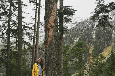Buy stock photo Travel, hiking and woman in woods, thinking or sightseeing on holiday, adventure and eco tourism. Forest, trekking and person in nature for vacation, reflection or exploration outdoor in winter
