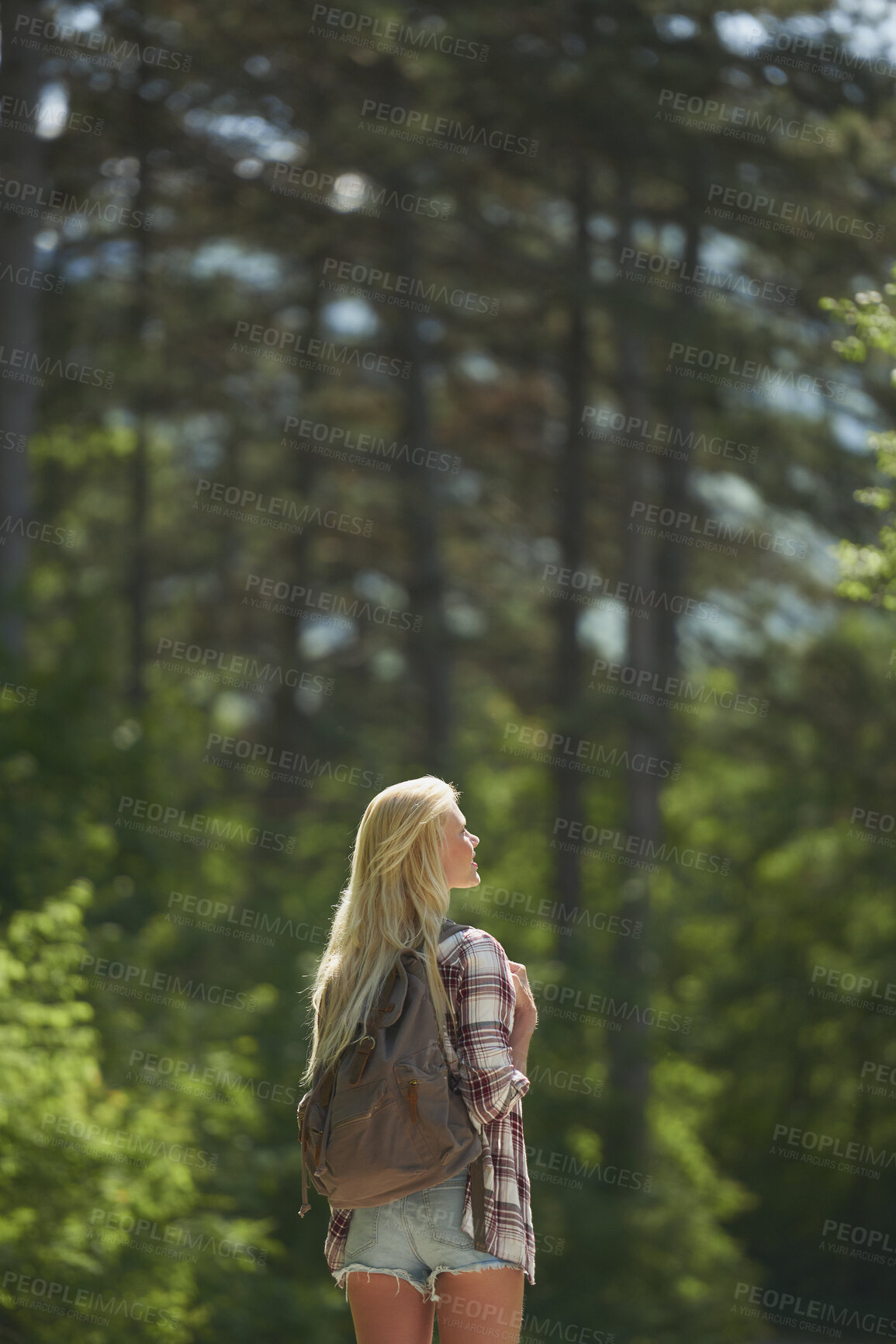 Buy stock photo Thinking, calm or person in nature with sightseeing, past memory or mindfulness on weekend break. Back, space or woman in forest with mindset, reflection or peaceful perspective in outdoor trip.
