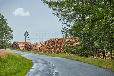 Buy stock photo Wood, road and lumber in nature for forestry, sustainable business or ecology for logging awareness. Timber, logs or firewood for deforestation, habitat destruction or forest industry with hardwood