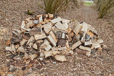 Buy stock photo Nature, bark and chopped wood outdoor in forest for agriculture, ecosystem or sustainability. Countryside, deforestation and pile of timber or lumber texture for eco friendly or organic environment.