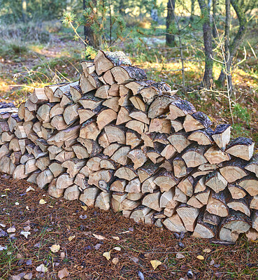 Buy stock photo Nature, bark and pile of wood outdoor in forest for agriculture, ecosystem or sustainability growth. Countryside, deforestation and stack of timber texture for eco friendly or organic environment.