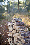 Preparation of firewood for the winter. Stacks of firewood in the forest. Firewood background. Sawed and chopped trees. Stacked wooden logs. 