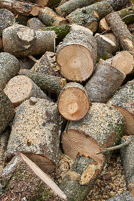 Buy stock photo Wood, logs and timber in nature for forestry, sustainable business or ecology for logging awareness. Lumber, pile or firewood for deforestation, habitat destruction or forest industry with hardwood