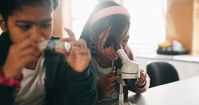 Buy stock photo Science, students and girls with microscope for learning, stem education and knowledge in lesson. Sample, microbiology and children in lab for chemistry study, research and test experiment in school