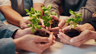 Buy stock photo People, plants and hands for growth with sustainable business, development and startup. Together, sprout and soil with group of employees for support, teamwork and progress in eco friendly project