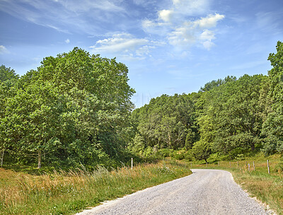 Buy stock photo Travel, empty or trees in countryside with road, forest area or pathway with nature scenery. Tourism, woods or trail outdoor with greenery, natural landscape or gravel lane in rural environment.