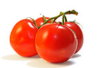 Tomato, produce and harvest in studio with red color, antioxidants and vitamin C for healthy nutrition. Organic, vegetables and snack for fiber, digestion benefits and wellness on white background.