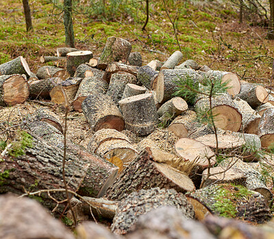 Buy stock photo Wood, pile and timber outdoor for forestry, sustainable business or ecology for logging awareness. Lumber, logs or firewood for deforestation, habitat destruction or forest industry with hardwood