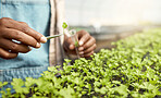 Botanist collecting plant samples. Scientist collecting plant samples in a test tube. Farmer putting samples from plant bed into a vial. closeup of a botanist in a greenhouse taking a sample