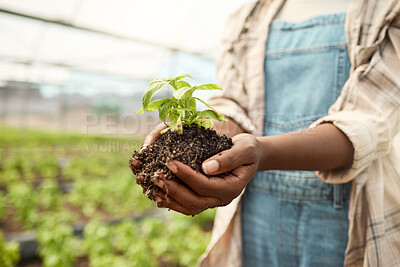 Buy stock photo Hands, person and farming with plants in greenhouse for agriculture, cultivation and quality control. Farmer, compost and nurture leaves for botanical, horticulture and harvest crops for plantation