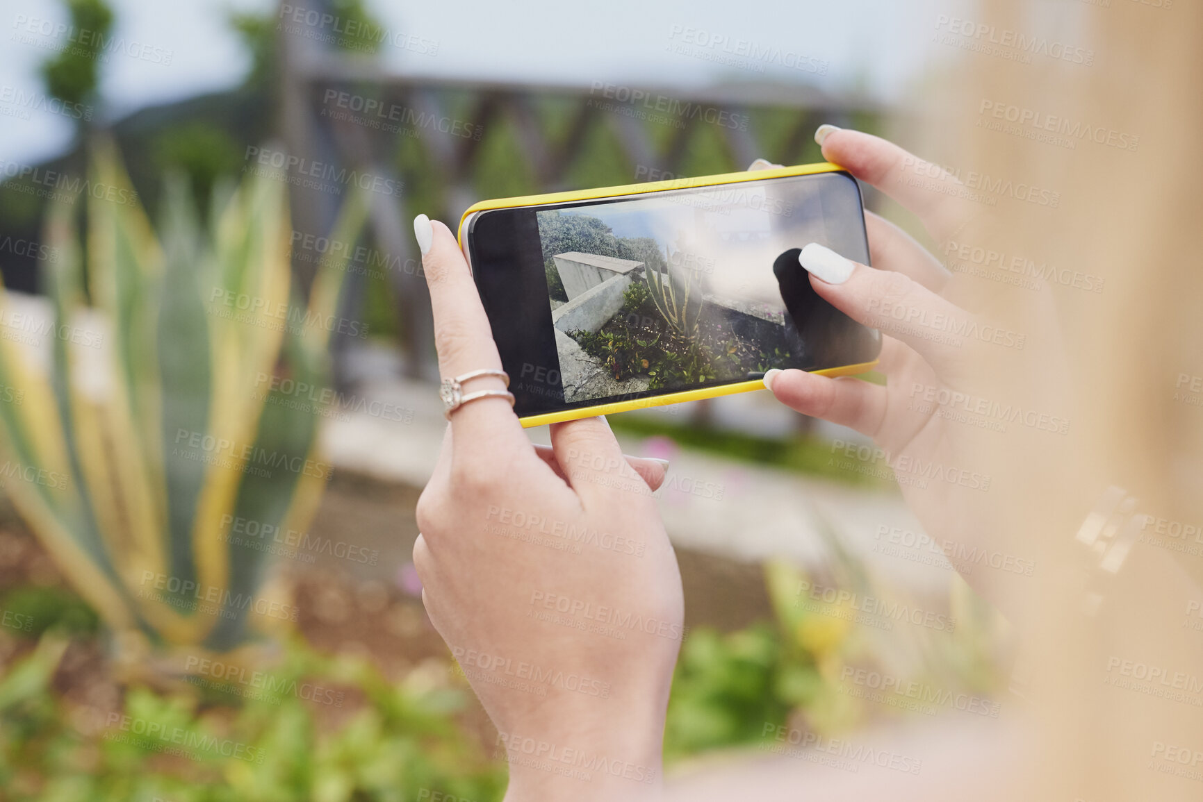 Buy stock photo Nature, hands and phone screen with photograph of plants, travel and garden or landscaping. Woman, technology and photography for social media blog, post or recognition app for flora outdoor