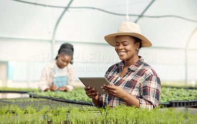 Buy stock photo Greenhouse, tablet and black woman with smile for sustainable business, growth or sales. Crops, plants and happy farmer on tech for eco friendly produce, farming or food production in agriculture