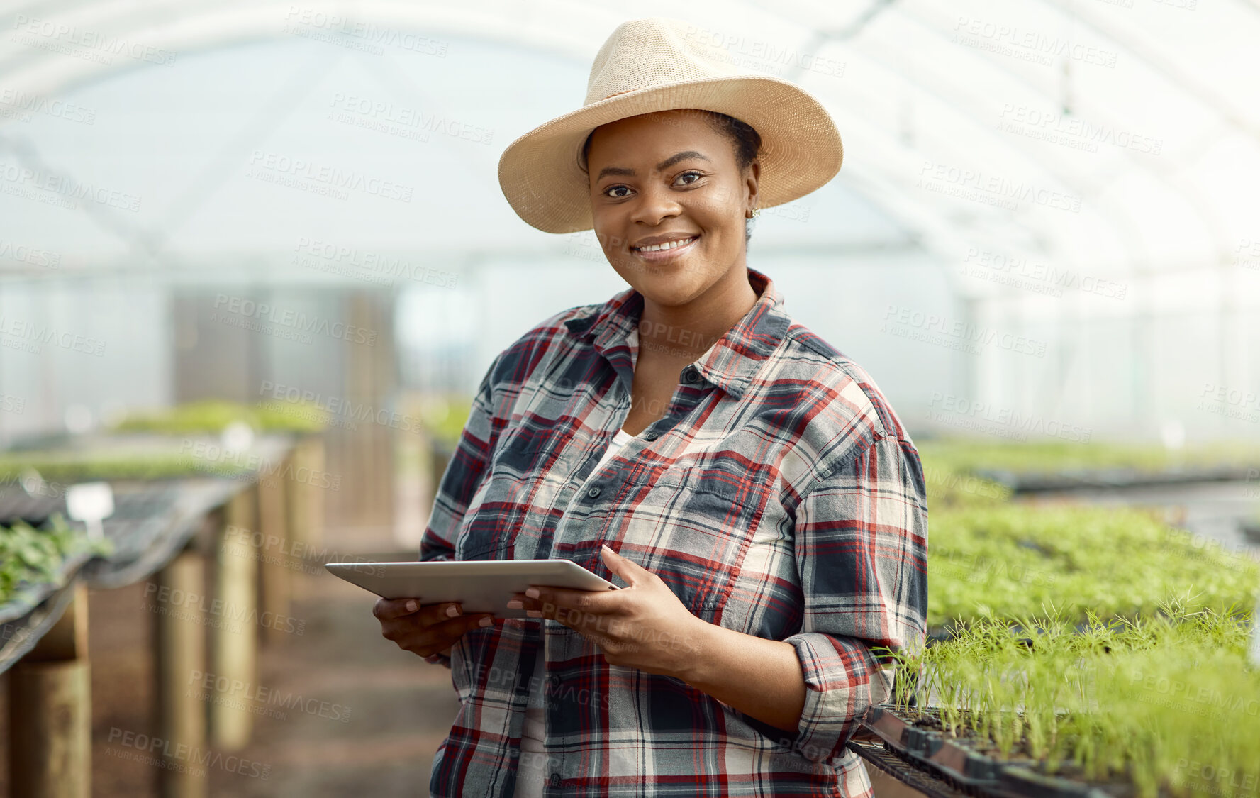 Buy stock photo Greenhouse, portrait and black woman with tablet for sustainable, vegetables or produce business. Crops, growth and farmer smile with digital tech for food production, farming or agriculture