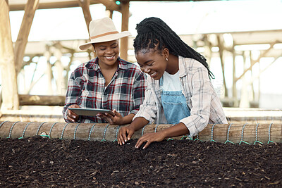 Buy stock photo Women, tablet and agriculture with inspection of soil, seedling growth and quality assurance. Production, farming and female farmer team or black people for agro development, tech and crop progress