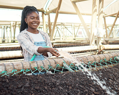 Buy stock photo Woman, farmer and water on soil for growth, environmental care or happy for fertilizer hydration. Black person, hose pipe or farming with smile for agriculture, quality control or land sustainability