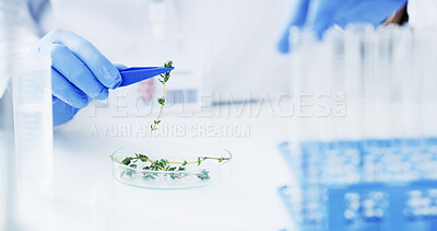 Buy stock photo 