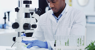 Buy stock photo 