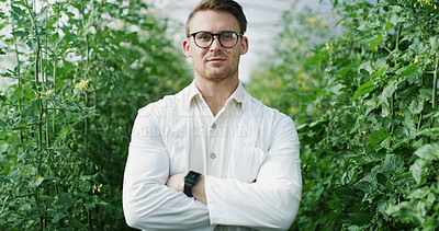 Buy stock photo Scientist, arms crossed and serious portrait in greenhouse for biosecurity, field research or pride. Agronomist, man and confidence for medical innovation, pest control or  sustainable science career